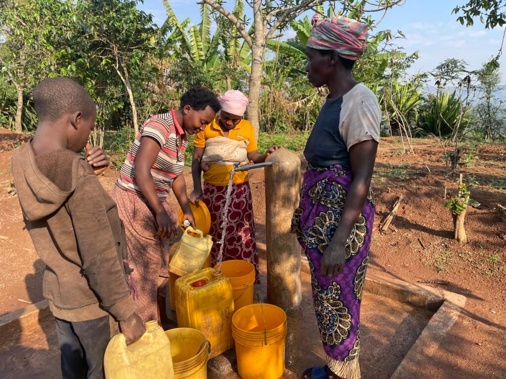 Water, Sanitation and Hygiene (WASH)